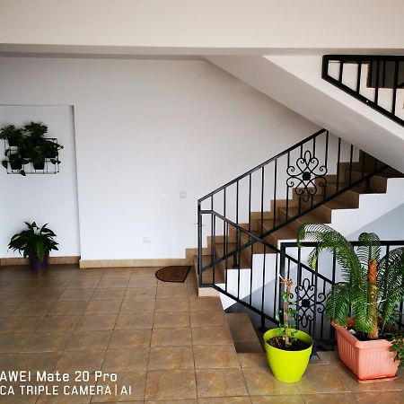 Cluj City Marasti Apartament 2 Εξωτερικό φωτογραφία