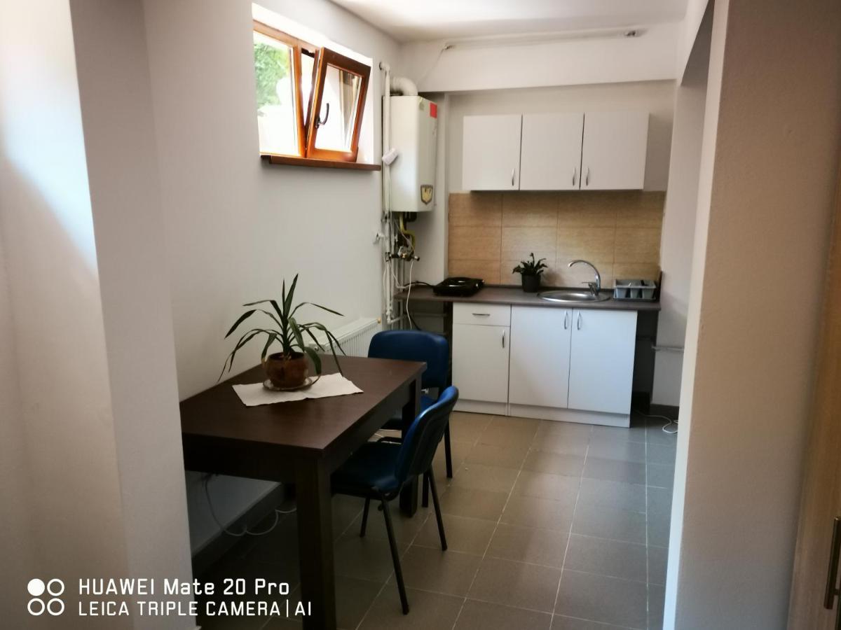 Cluj City Marasti Apartament 2 Εξωτερικό φωτογραφία